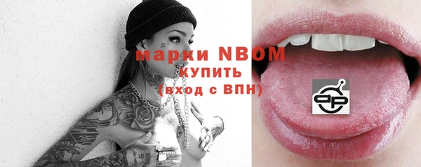 гидра Горняк