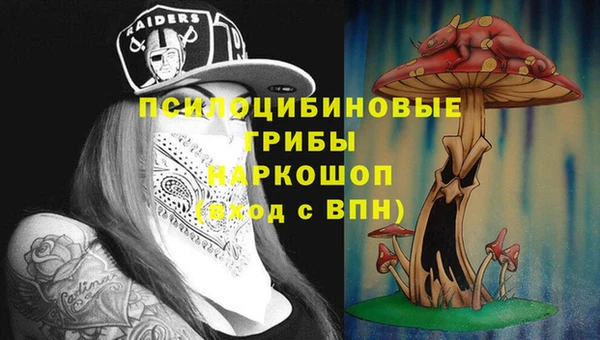гидра Горняк