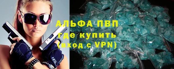 винт Вяземский
