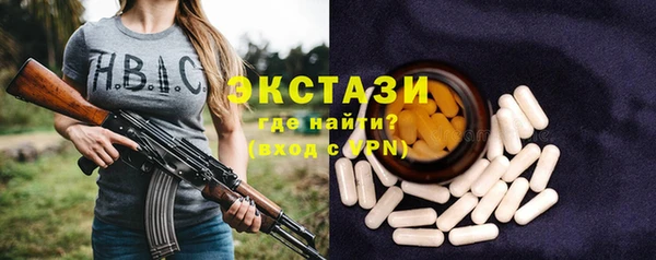 гидра Горняк