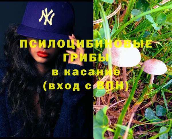бошки Вязьма