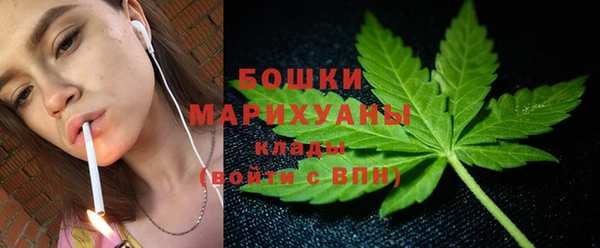 гидра Горняк