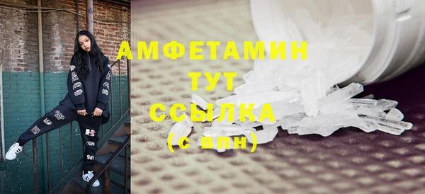 гидра Горняк